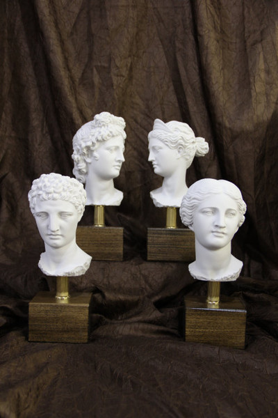 Set Busts Four Gods Goddess Heads Marble Museum Base Statues